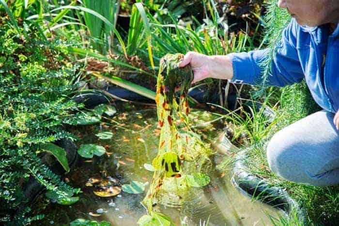 Schlamm aus dem Gartenteich entfernen (depositphotos.com)